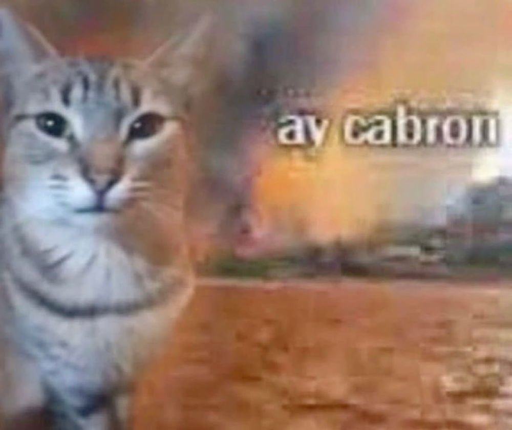Ay cabron