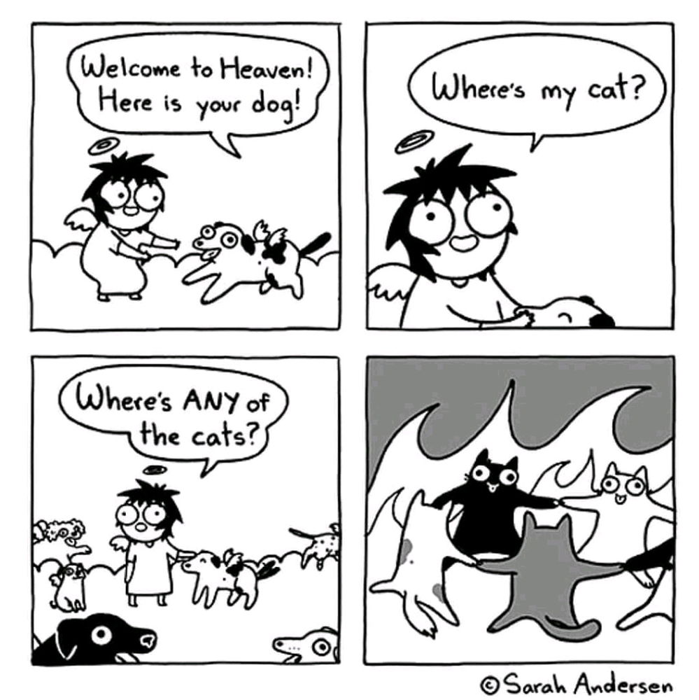 Comics