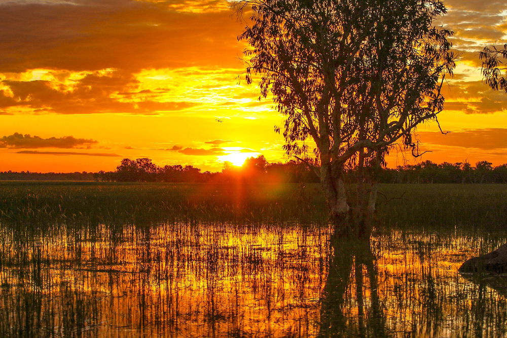 Another sunset on the floodplains