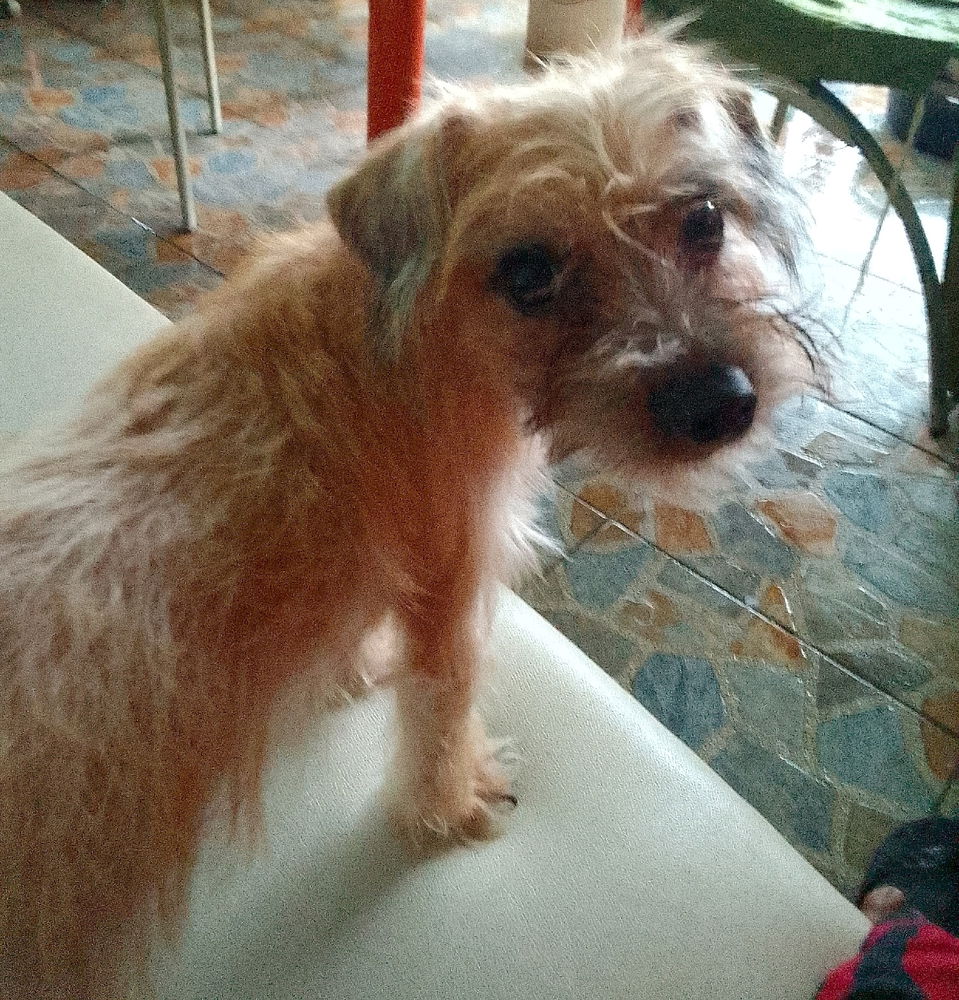 Asking to play...
