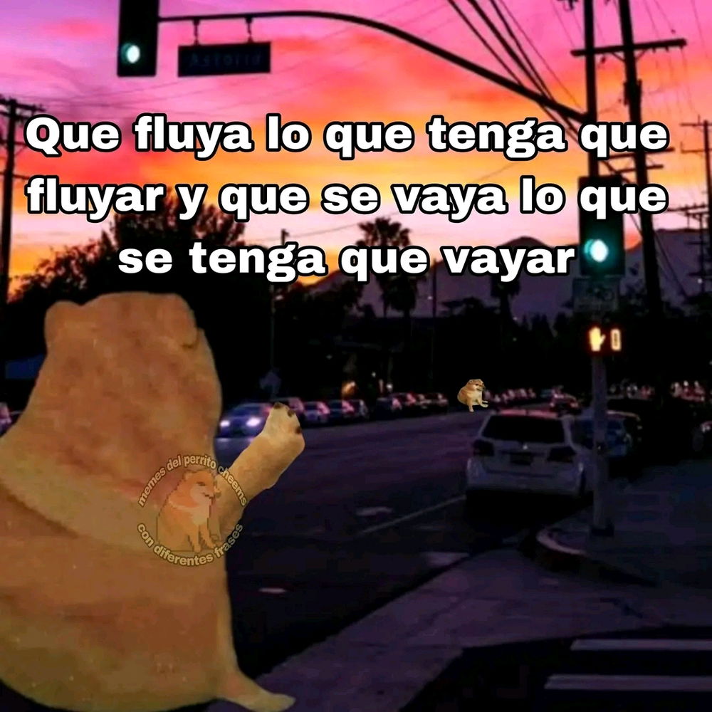 ✨