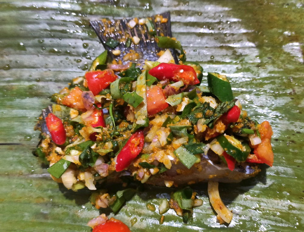 Ikan gurame