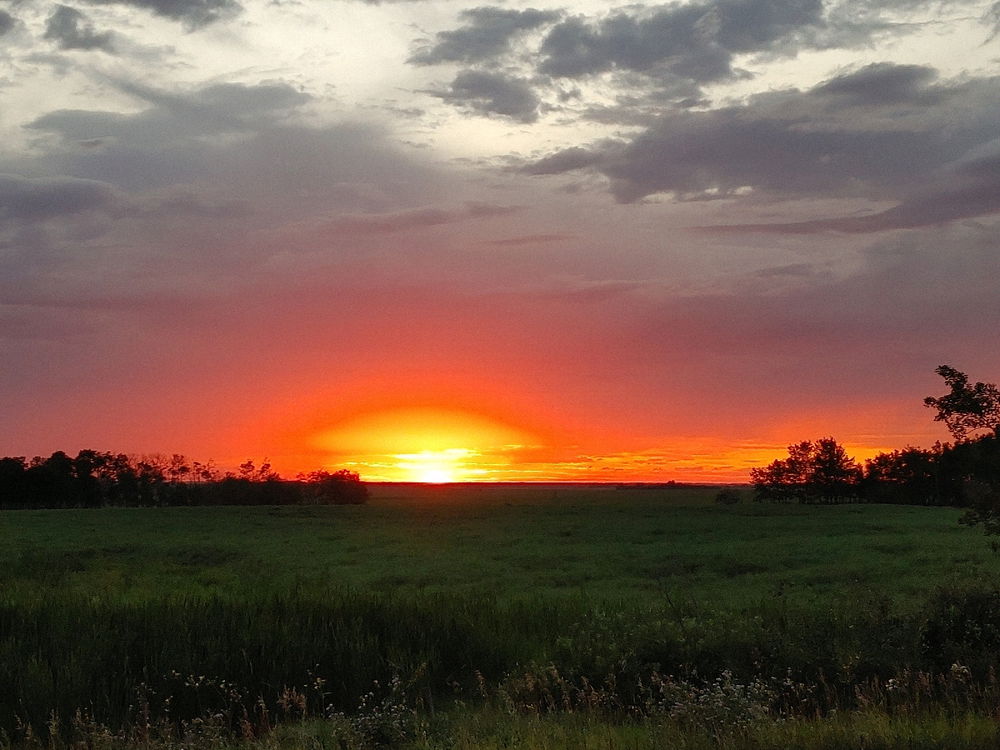 Fire in the sky