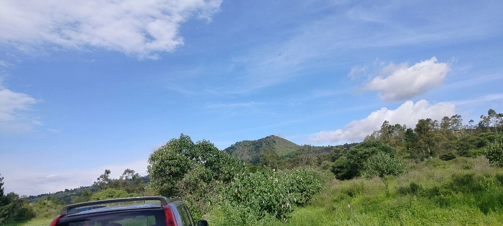 Un pequeño recorrido...