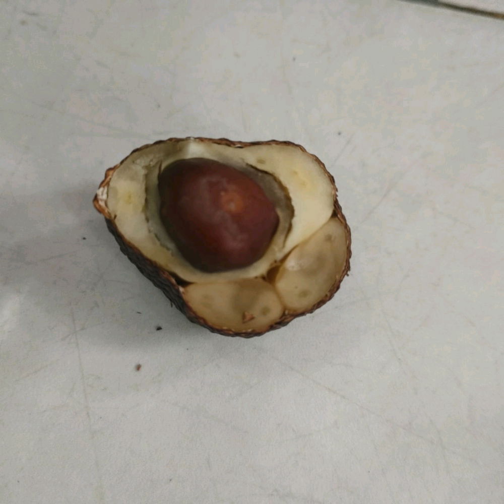 Asian fruit