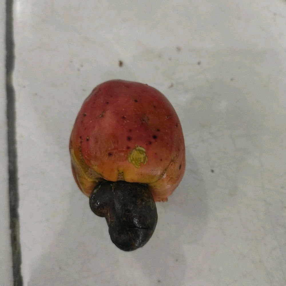 Asian fruit