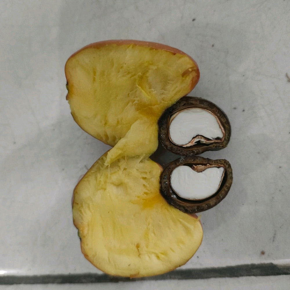 Asian fruit