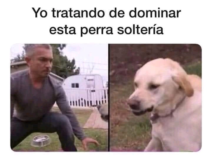 🤣
