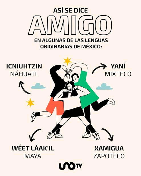 AMIGO 🫶🏻