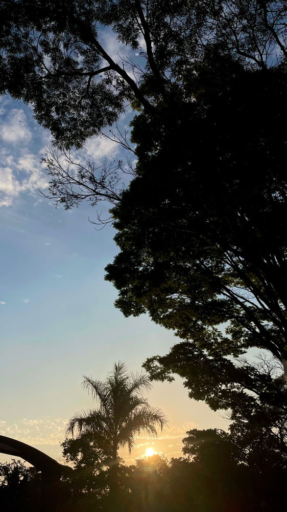 Fim de tarde