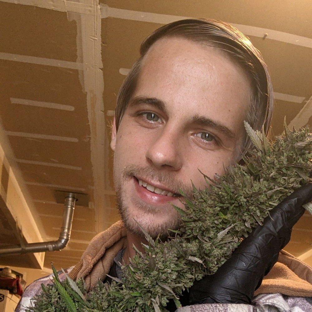 Some silly photos I took with my plants flowers a few years ago, didn't get the chance to grow this year so looking forward to next grow season and just going through my pics lol thought I'd share.