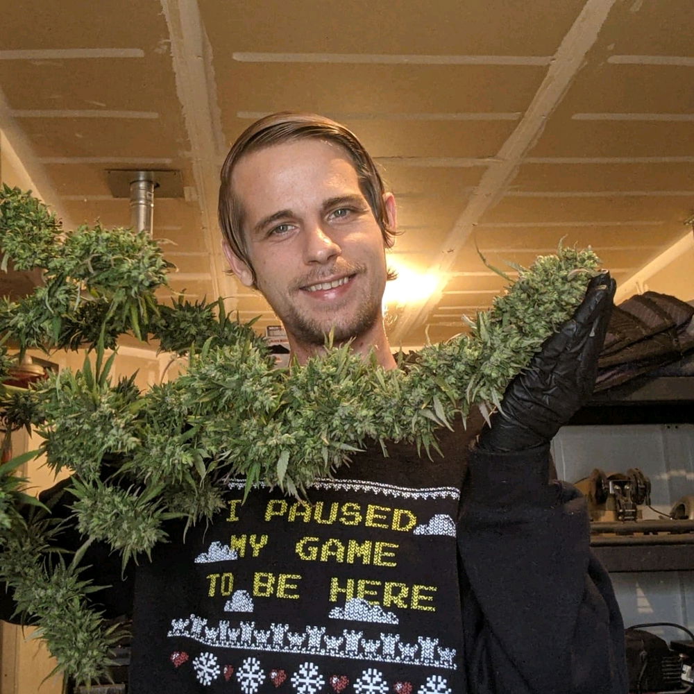 Some silly photos I took with my plants flowers a few years ago, didn't get the chance to grow this year so looking forward to next grow season and just going through my pics lol thought I'd share.