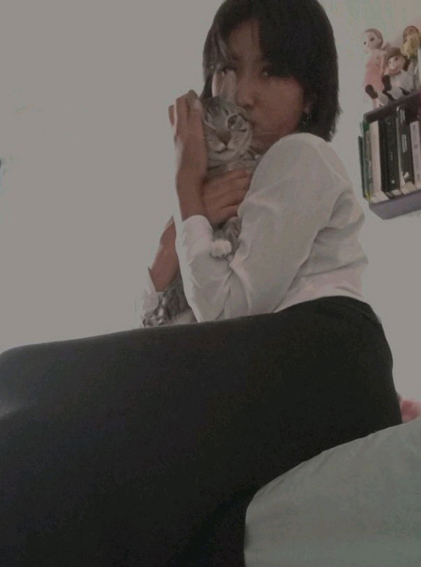 Mi gatito