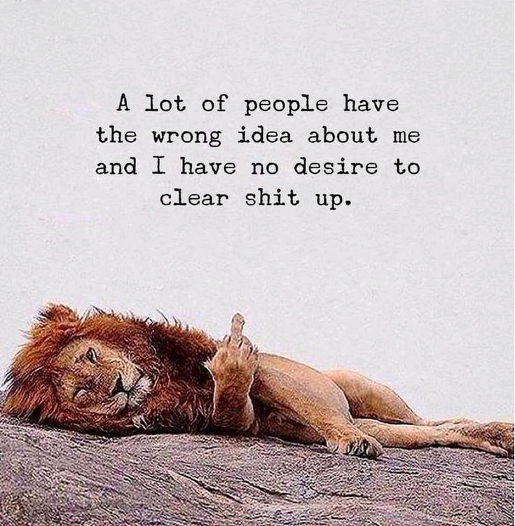 I have no desire to justify things.