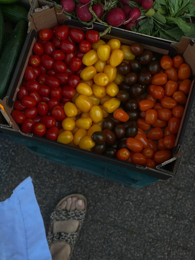 Colors of summer