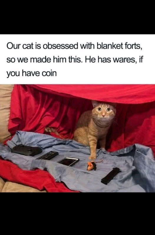 Greetings traveller