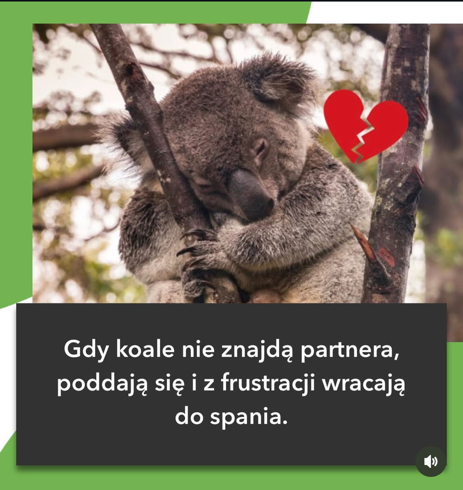 Memik