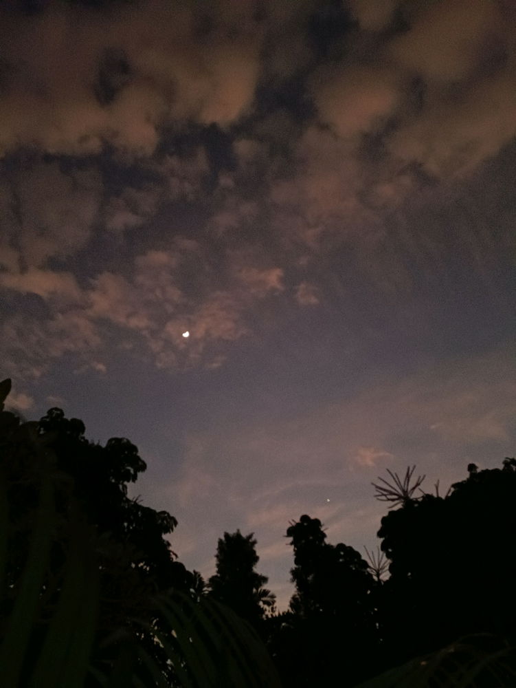 I took it yesterday