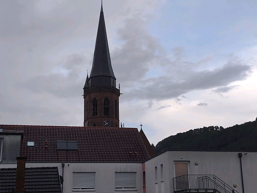 Věž