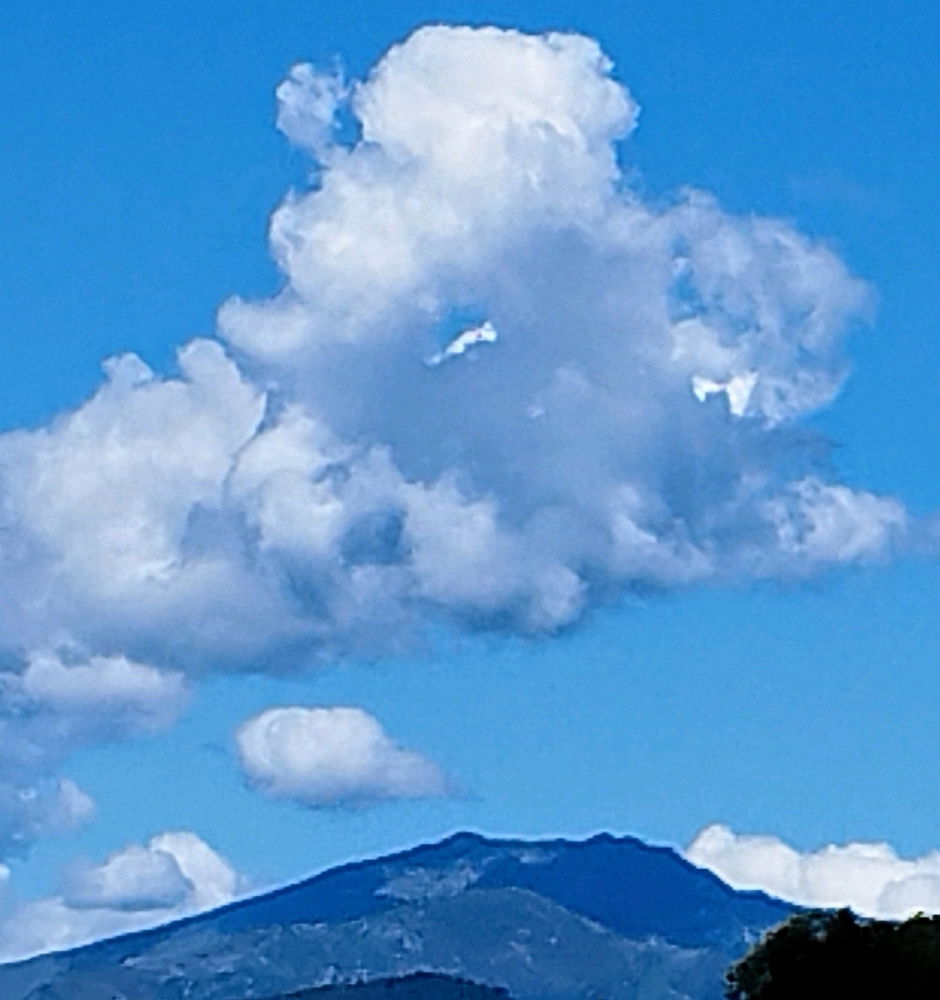 Nuvola ☁️