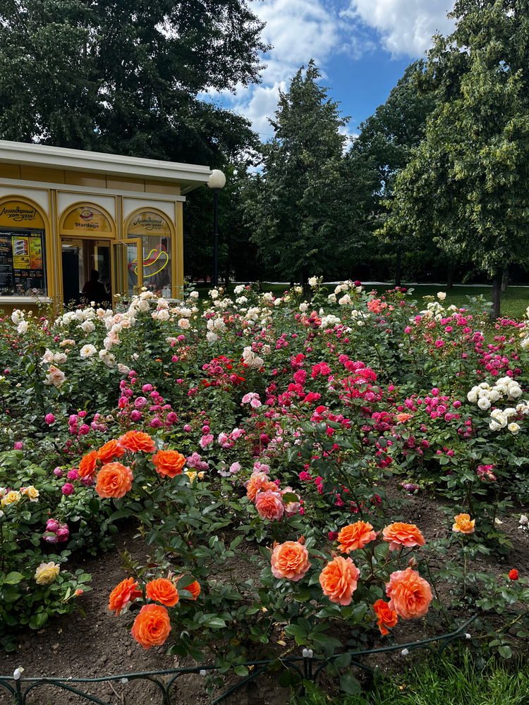 A walk in the park 🏞️