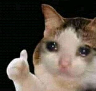 un nouveau joueur de souls like