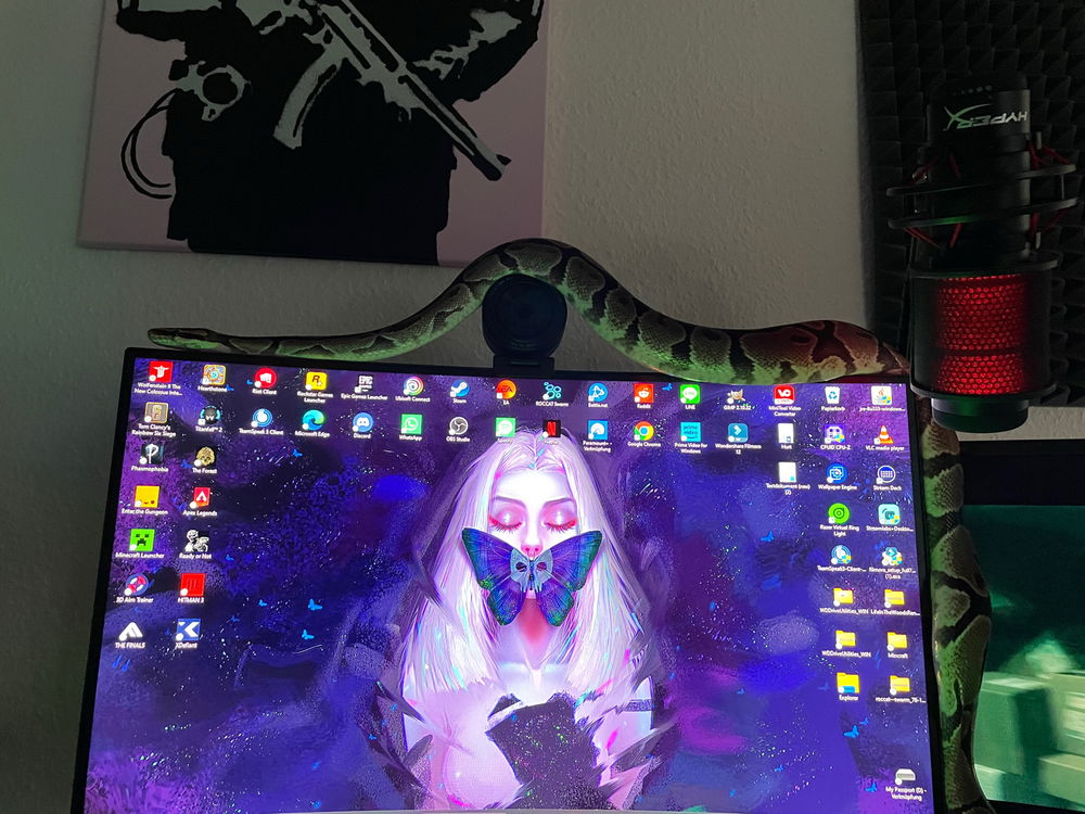 Sie ist jetzt Teil des Setups