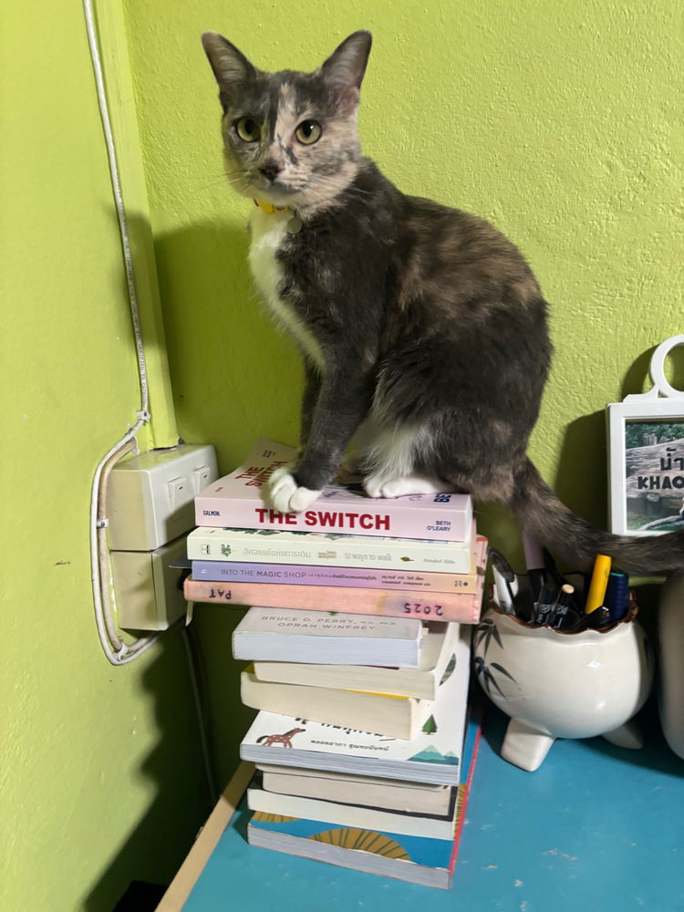 Everyone say 'Good Balance Gigi'