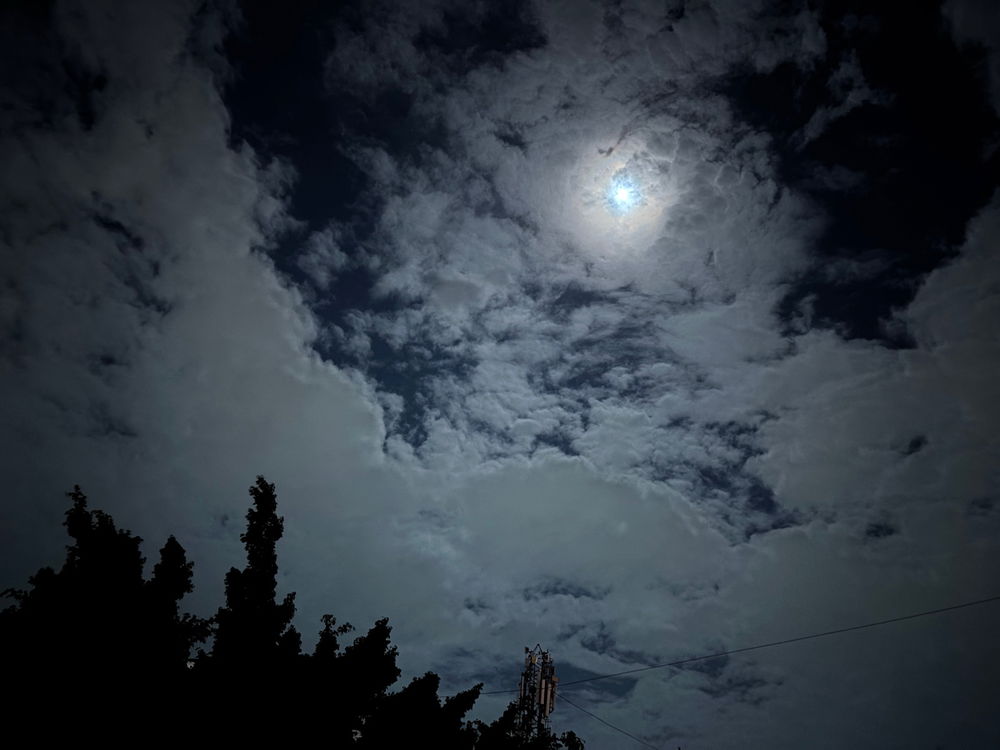 Night Needs Darkness