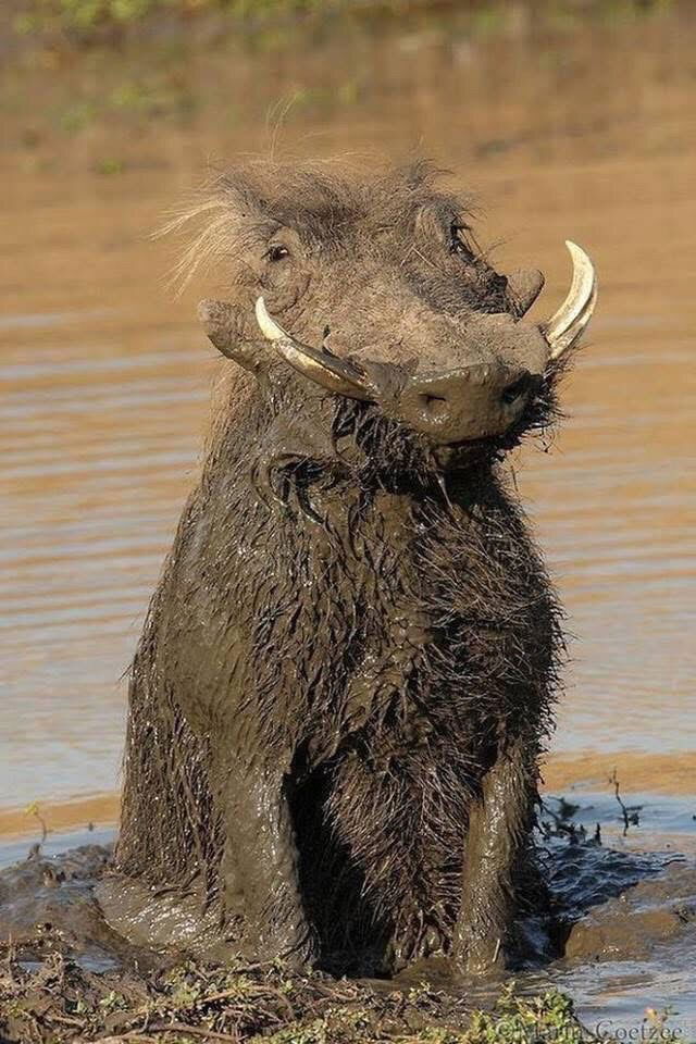 👍