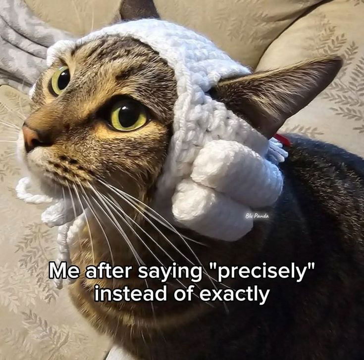 😂👩‍⚖️😹