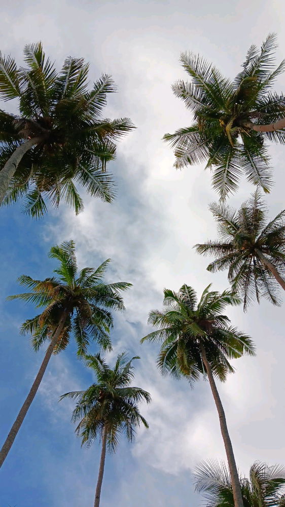 🏝