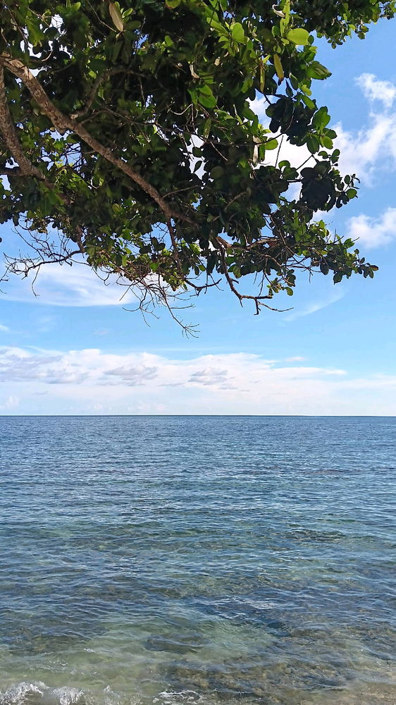 🏝
