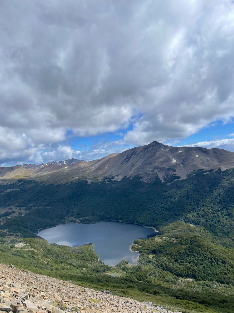 Dientes de Navarino