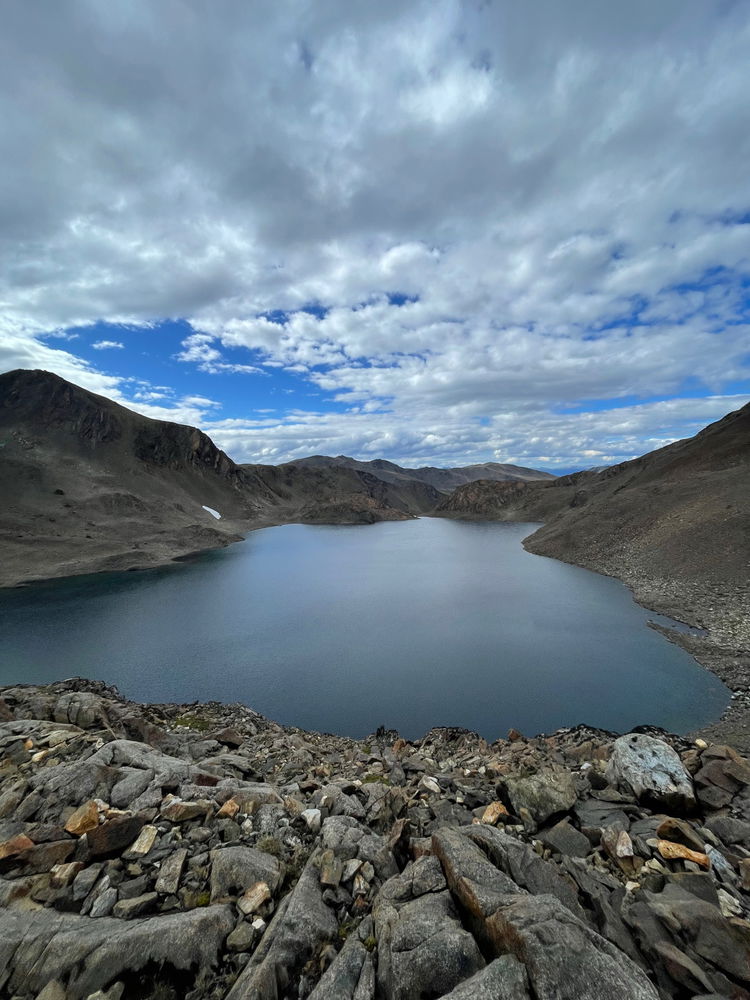 Dientes de Navarino