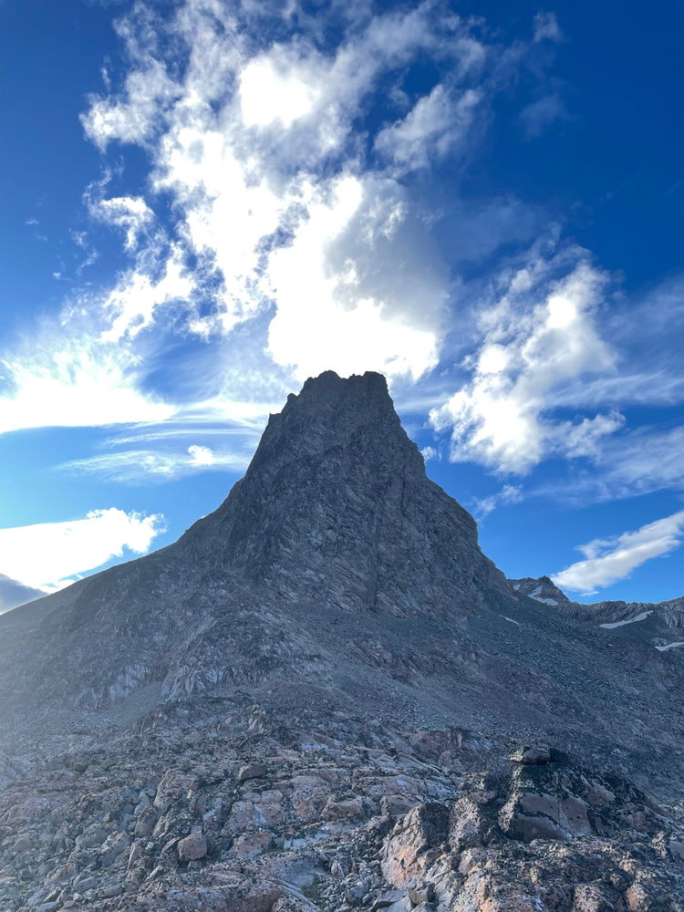 Dientes de Navarino