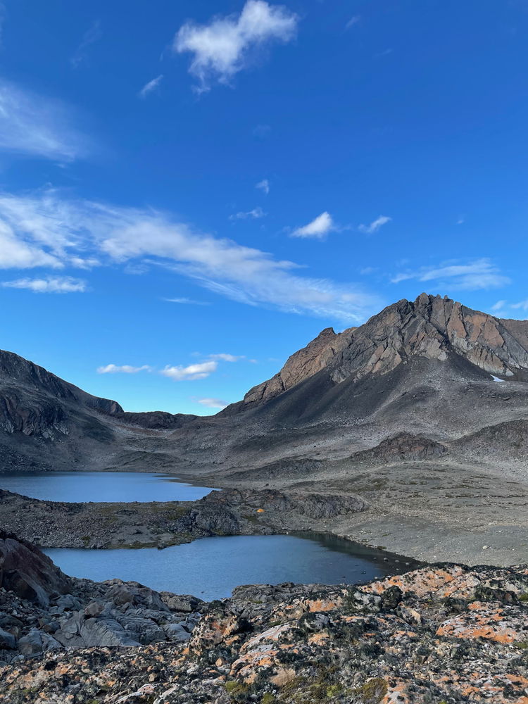 Dientes de Navarino
