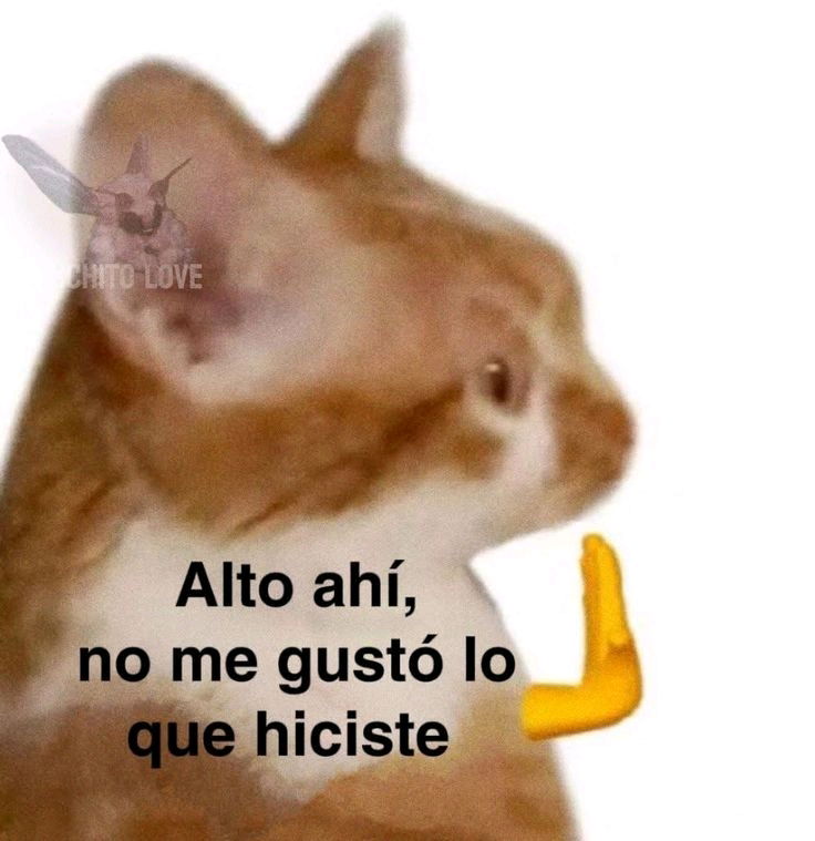 Pongan límites >:(