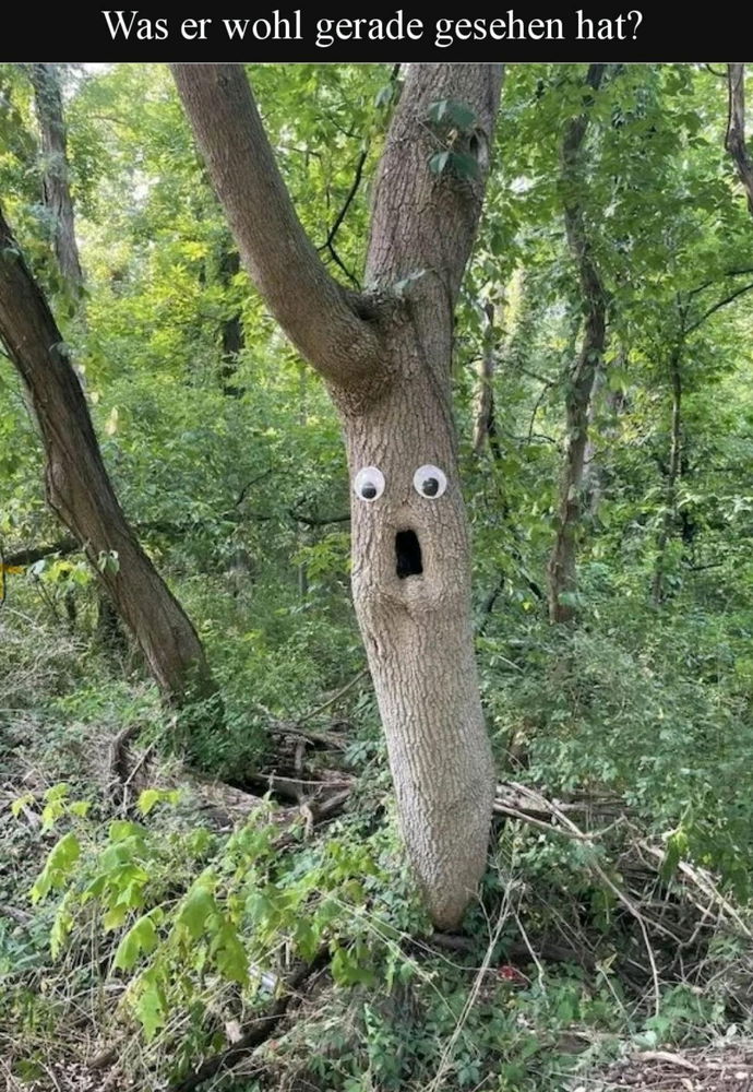 😂