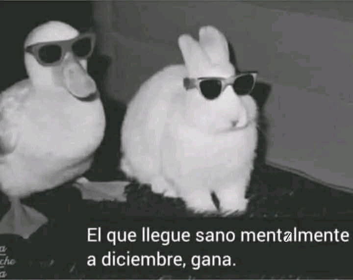 Perdimos perdimos D: