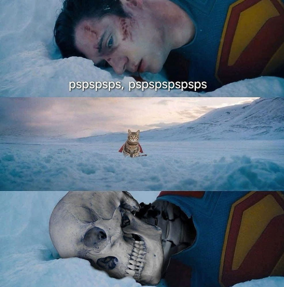 Se fosse um super gato