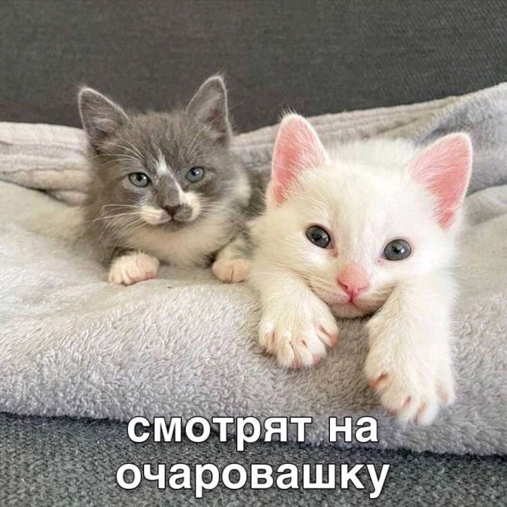 Да,да ,не сомневайтесь 😀