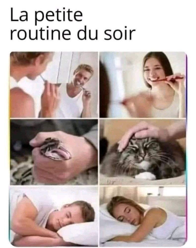 🤣