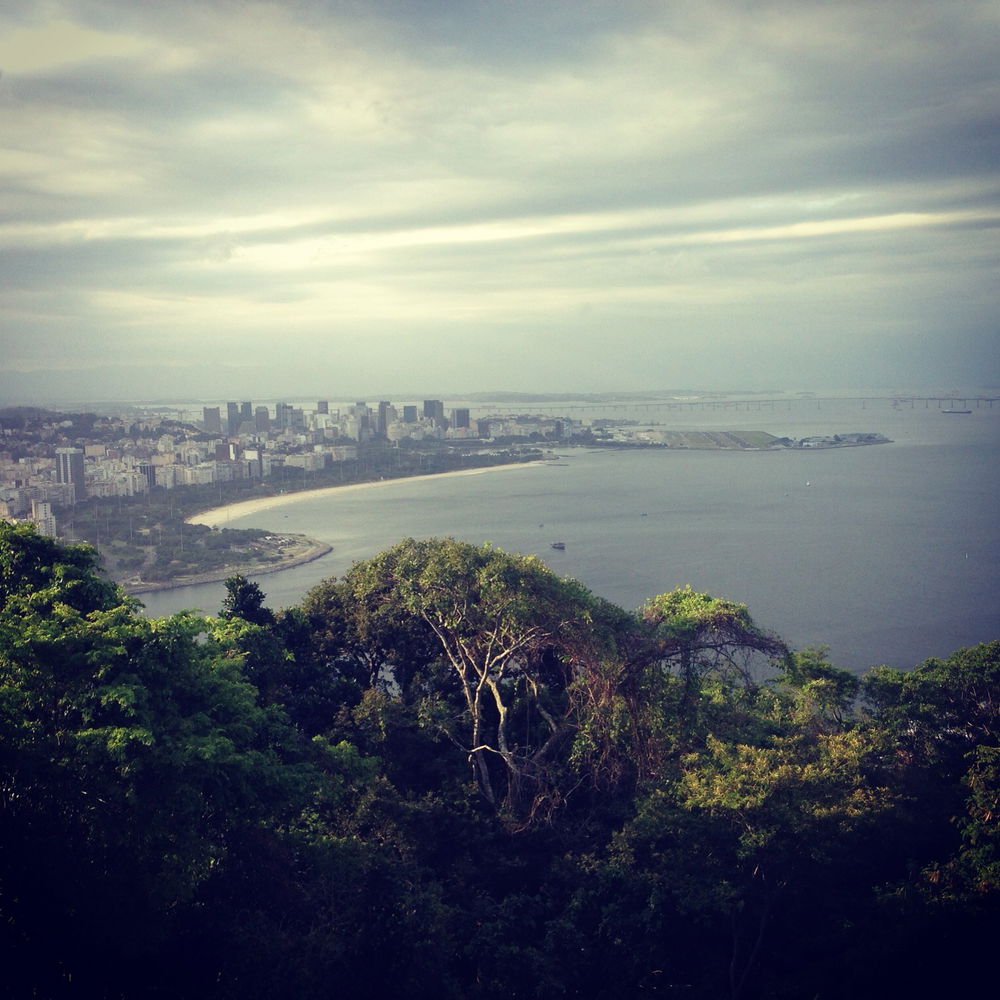 If lost, return me to Brazil.