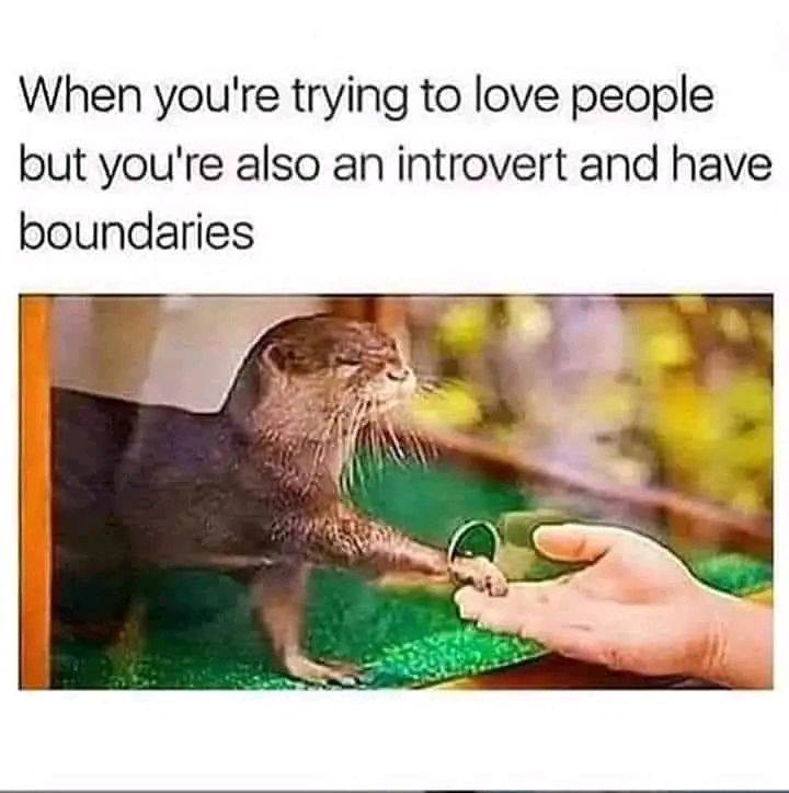 😋😋😋😋