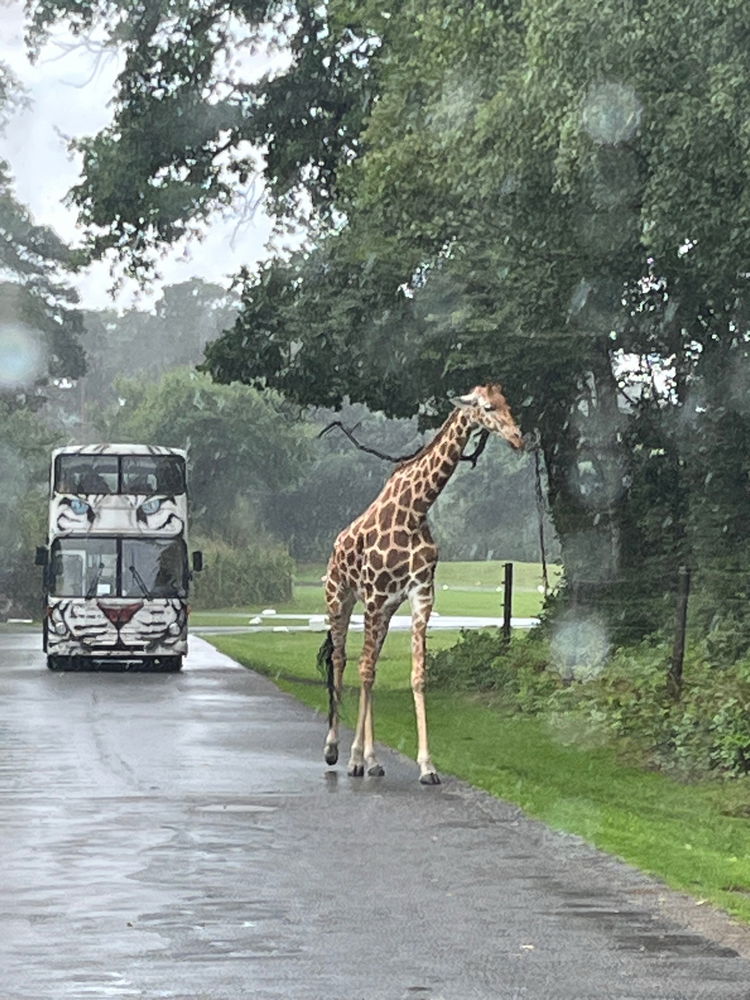 Serengeti Park