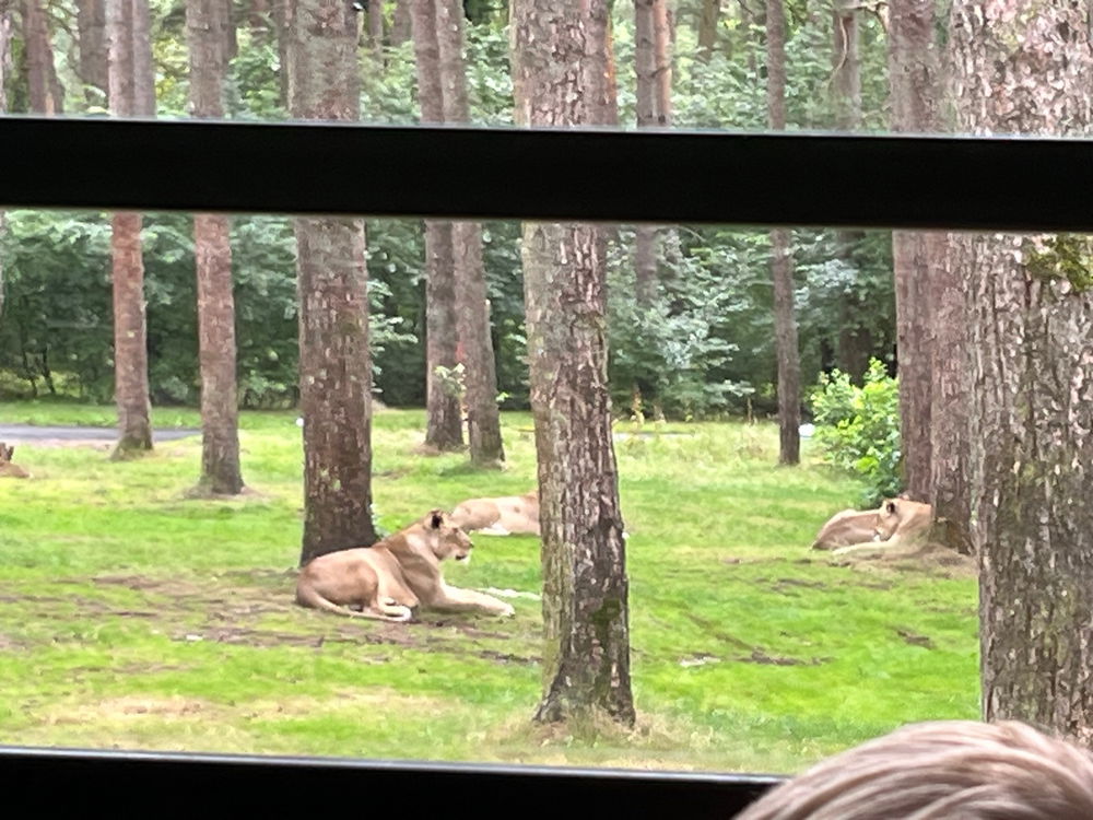 Serengeti Park