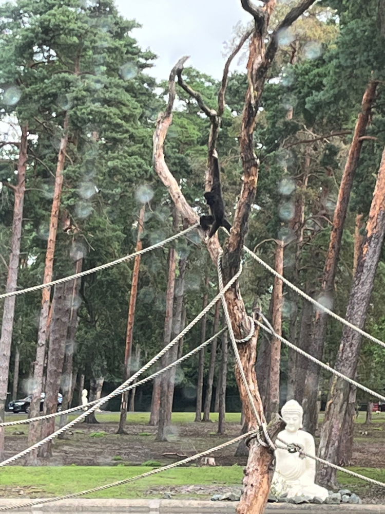 Serengeti Park