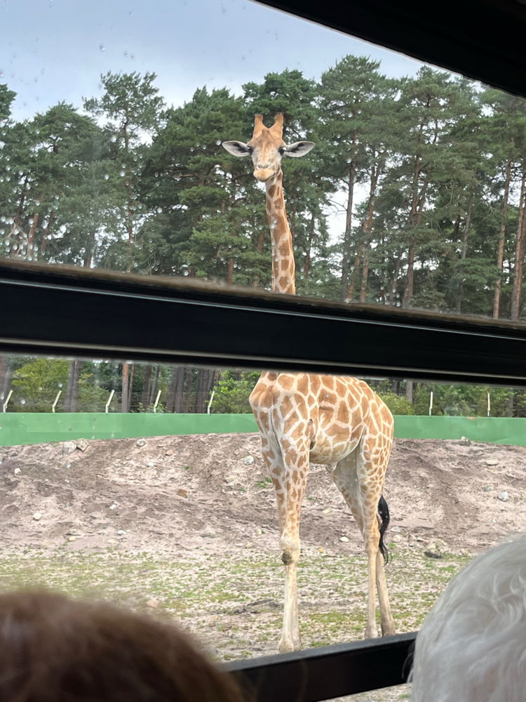Serengeti Park