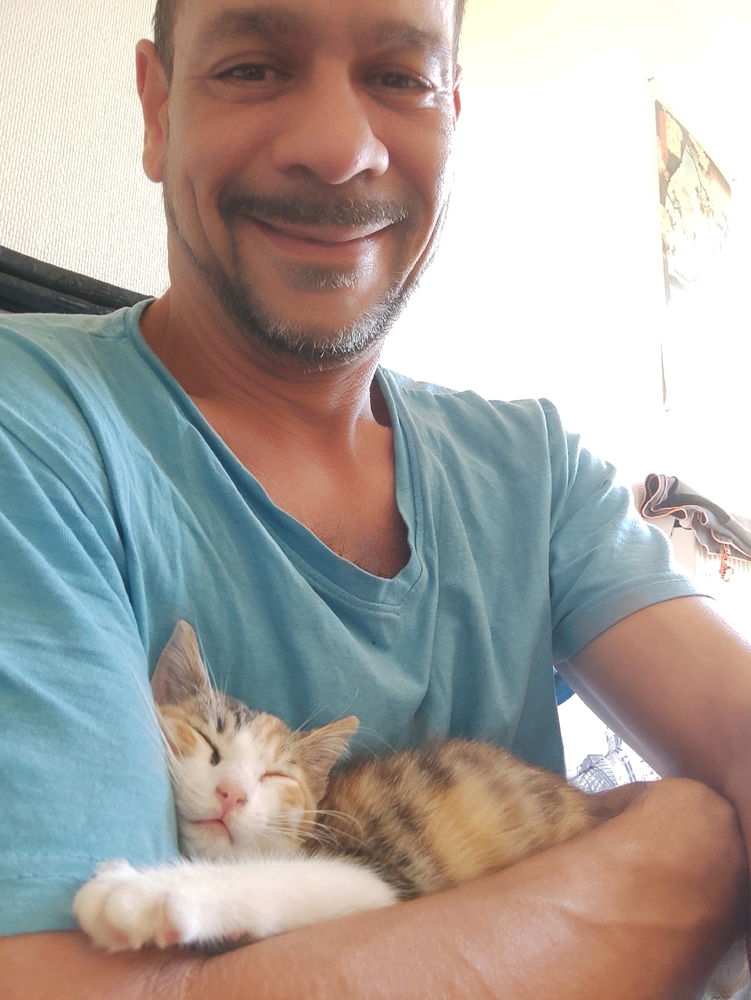 La vie de chat ☺️